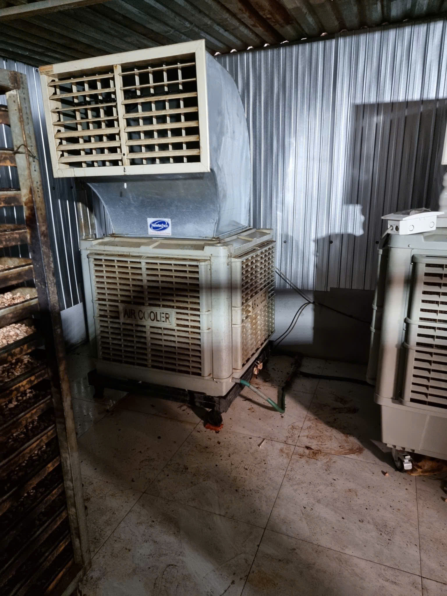 Quạt công nghiệp hơi nước