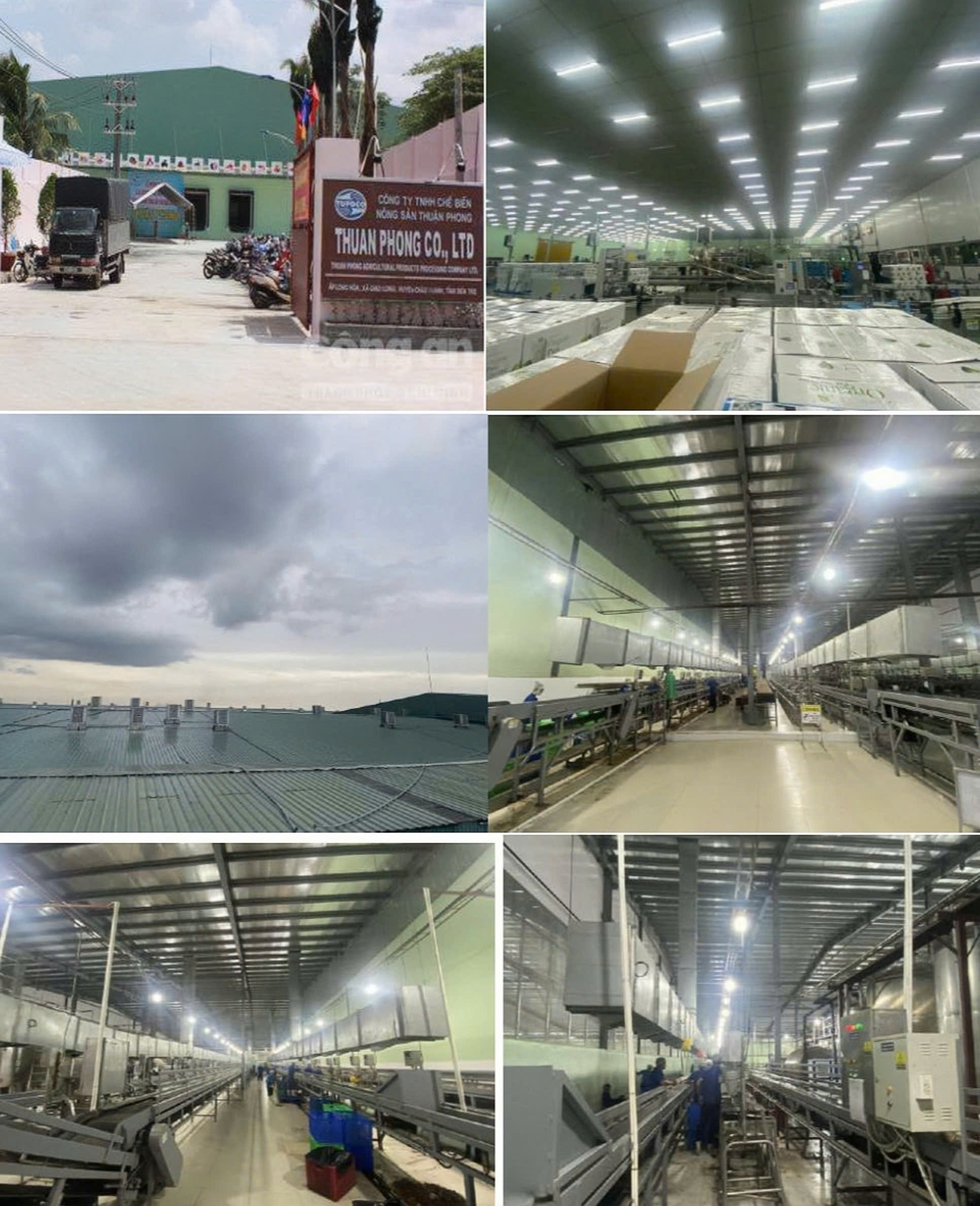 Hệ thống làm mát nhà xưởng