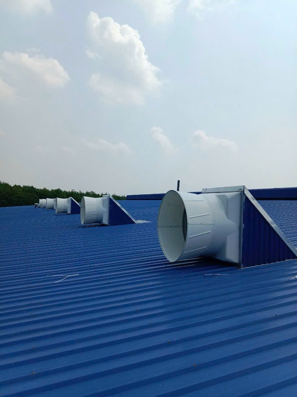 Quạt hút công nghiệp composite