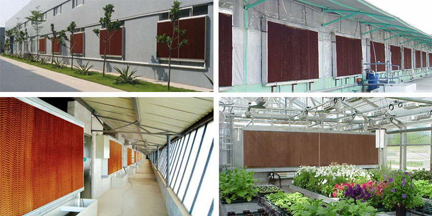 Hệ thống cooling pad