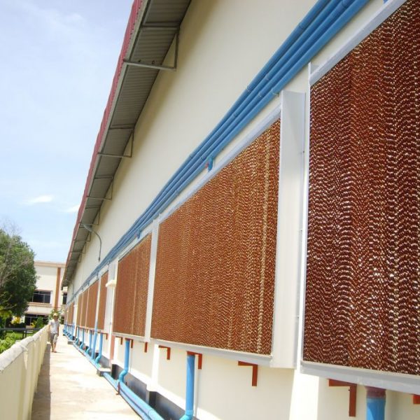 Hệ thống làm mát cooling pad