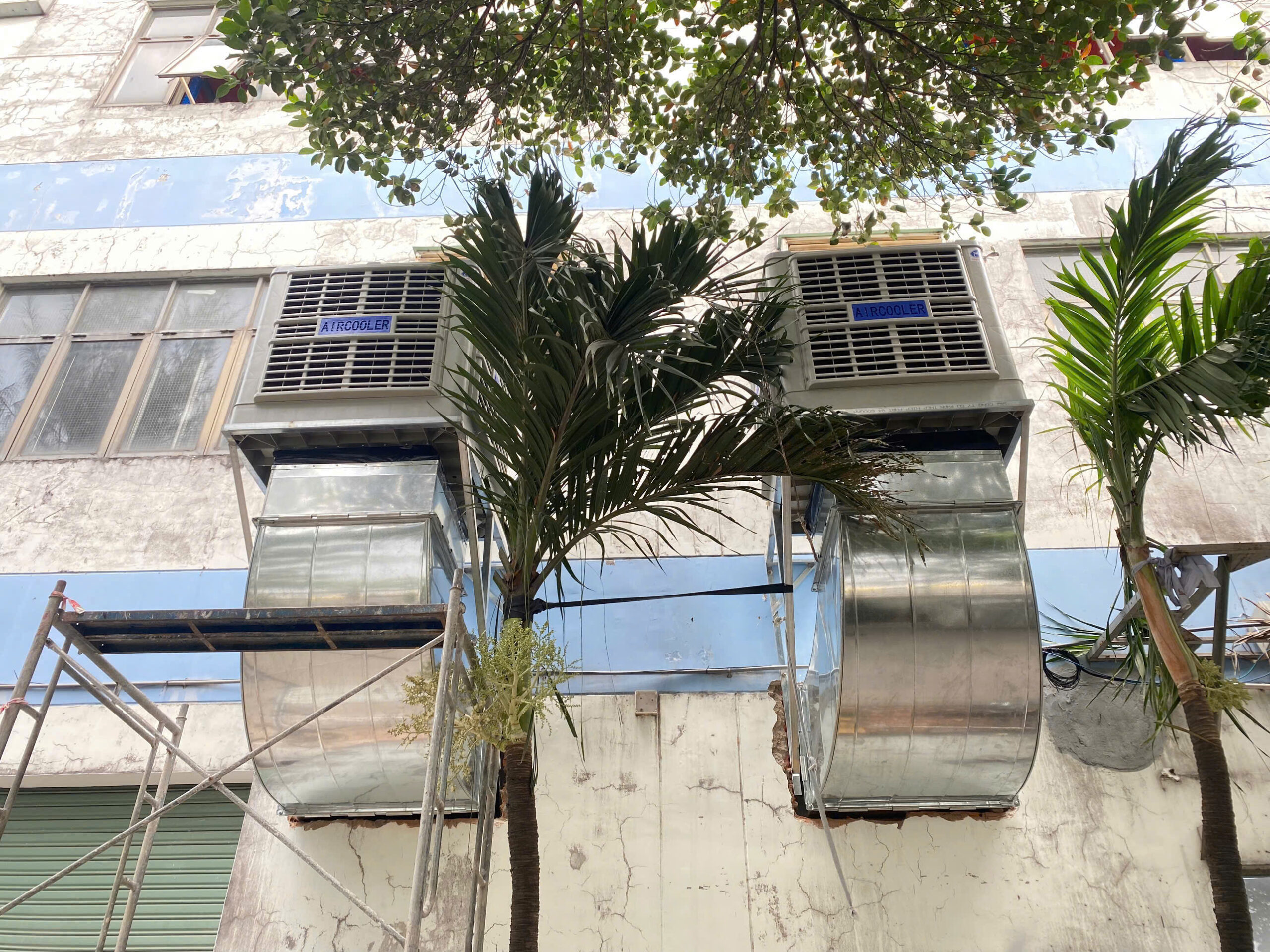 Làm mát nhà xưởng