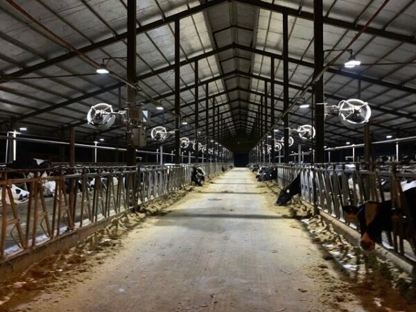 Quạt thông gió công nghiệp