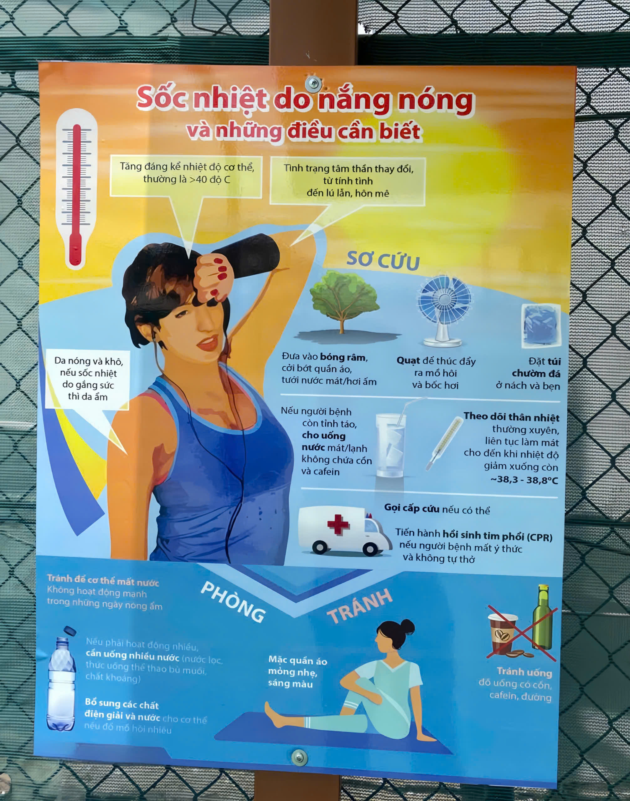 Pickleball